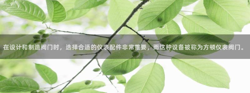 顺盈娱乐李333OO