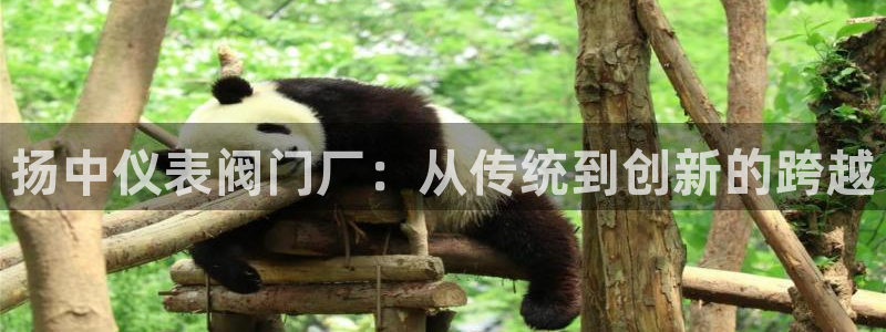 顺盈娱乐保究7276O