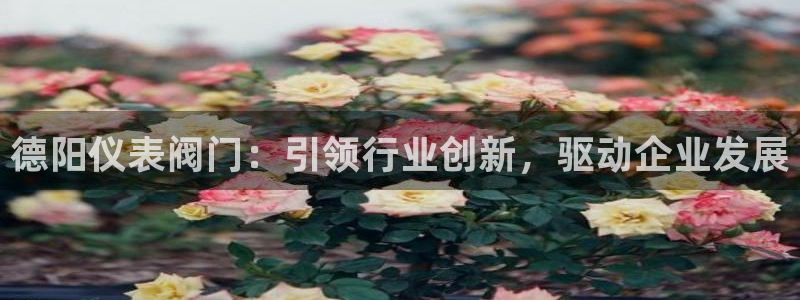 顺盈娱乐主管去判官333OO