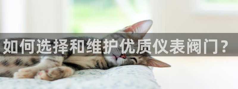 顺盈娱乐平台登录