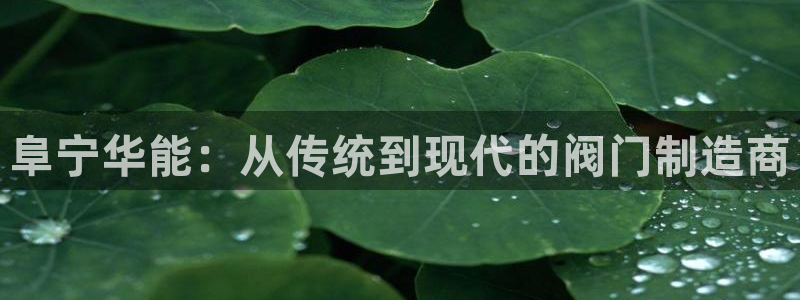 顺盈娱乐382223