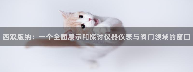 顺盈娱乐平台注册条件