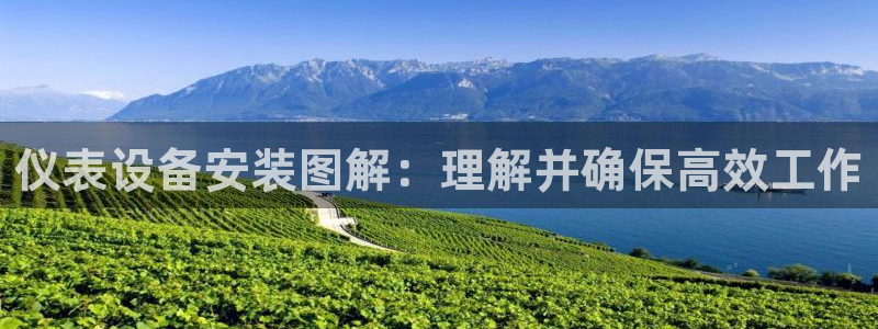 顺盈娱乐招商前原判官333OO