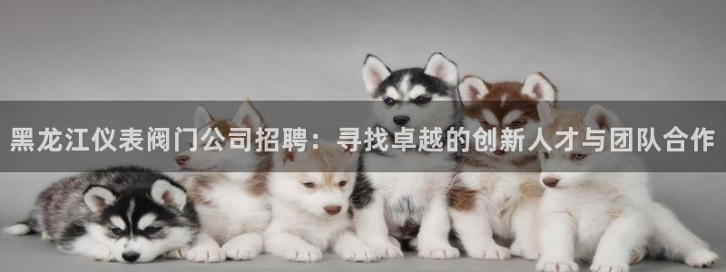 顺盈娱乐口究7276O