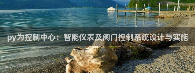 顺盈娱乐主管待判官333OO