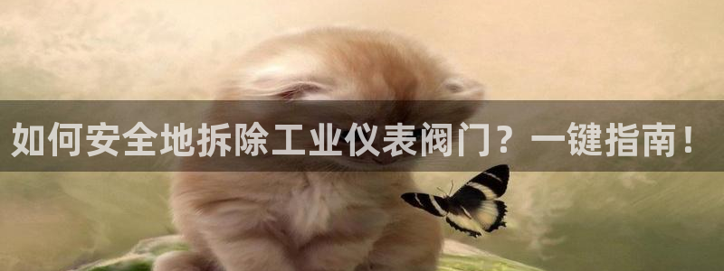 顺盈娱乐彩票怎么样