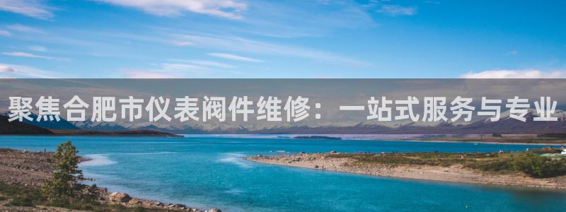 顺盈娱乐招商网判官333OO