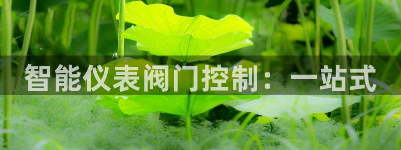 清远顺盈娱乐集团招聘吗