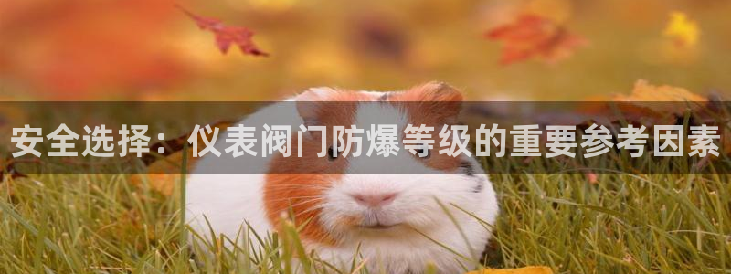 顺盈娱乐主管后原判官333OO