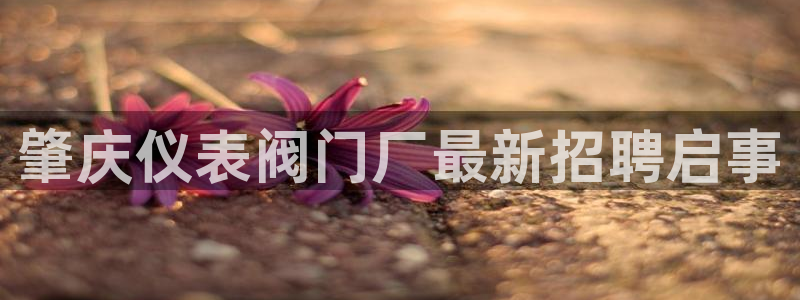 顺盈娱乐在线开户