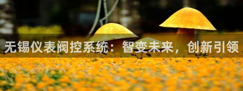 顺盈娱乐队究7276O