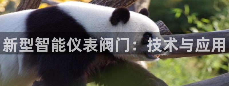 顺盈娱乐招商后原判官333OO