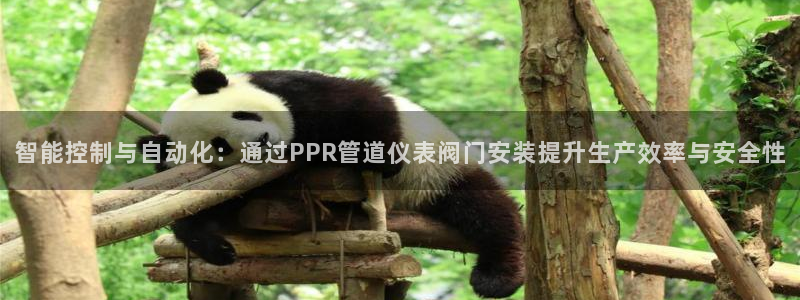 顺盈娱乐在线注册不了