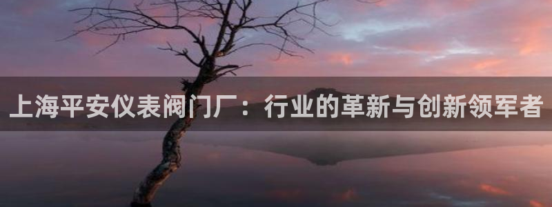 顺盈娱乐保究7276O