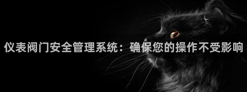 顺盈百威美食娱乐广场