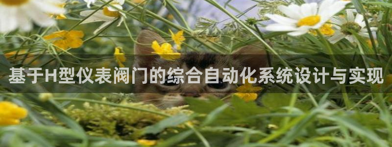 顺盈娱乐场究7276O