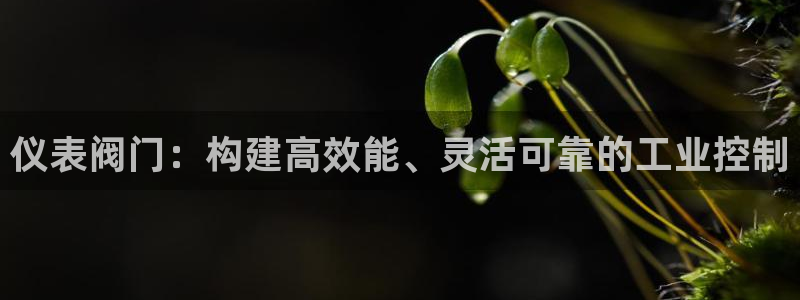 顺盈娱乐代理怎么样做