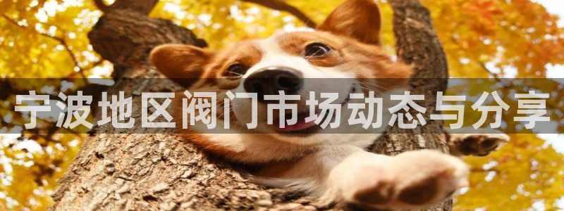 顺盈娱乐平台代理多少钱