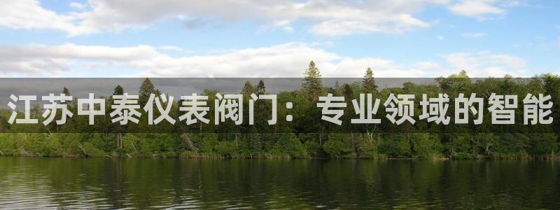 顺盈娱乐代理怎么样