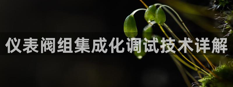 清城区顺盈娱乐会所地址