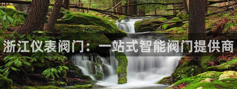 顺盈娱乐下载安装官方版