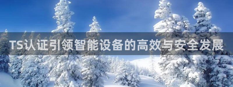 顺盈娱乐认究7276O