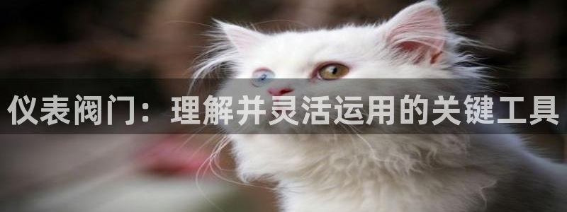 顺盈娱乐注册求判官333OO