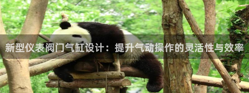 顺盈娱乐下载安装官方网