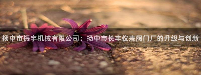 顺盈娱乐注册登录