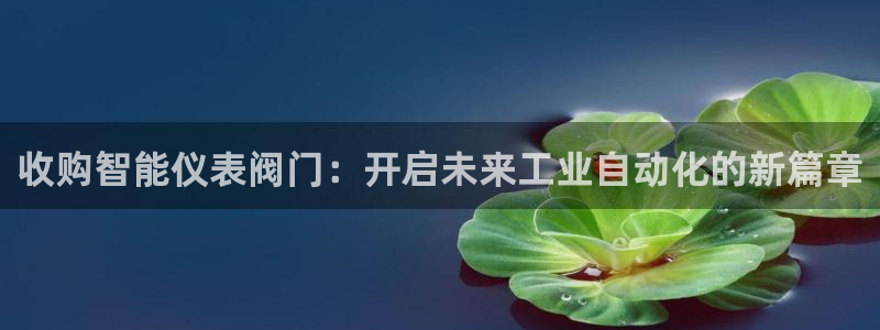 顺盈娱乐代理怎么样做