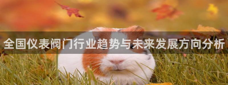 顺盈娱乐最高代理人是谁