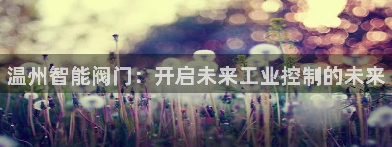 顺盈娱乐代理怎么样了