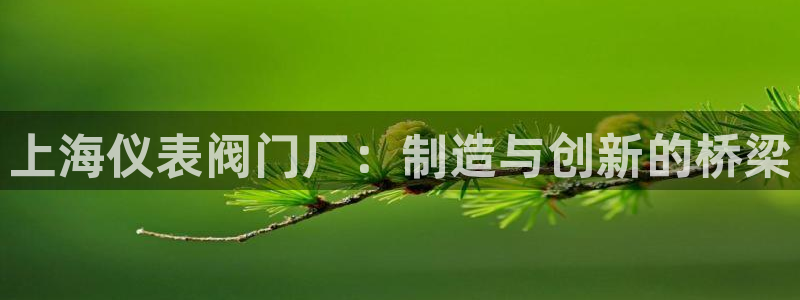 顺盈娱乐平台代理多少钱