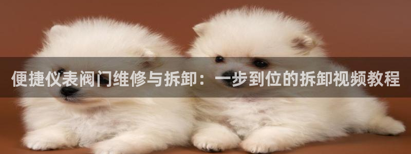 顺盈娱乐主管待判官333OO
