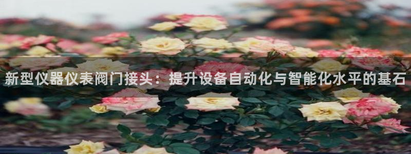 盈顺休闲娱乐室团购