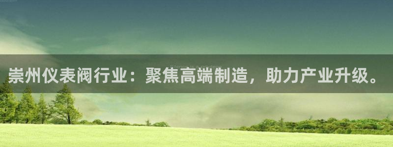 顺盈娱乐登录平台