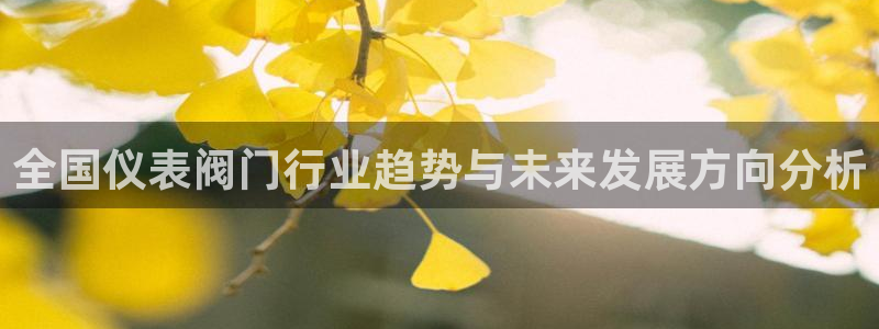 顺盈娱乐平台注册条件