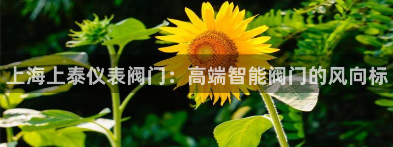 清远顺盈娱乐怎么样