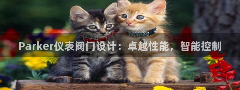 顺盈2娱乐彩票