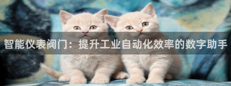 顺盈娱乐注册口究333OO