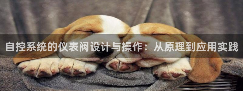 顺盈娱乐总代