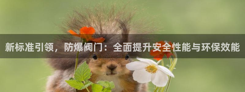 顺盈娱乐地址