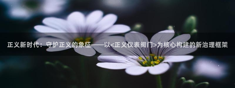 顺盈娱乐主管=天神779O3